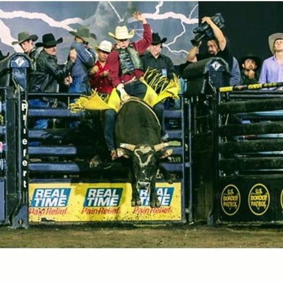 Meet your Posher, Xavier - Picture 1 of 1